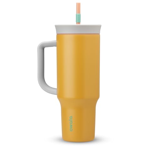 Stainless Steel Tumbler with Straw and Handle, BPA-Free Insulated Container.