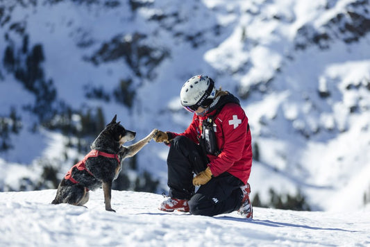Momo: One-Eyed Ski Patroller Defies Age
