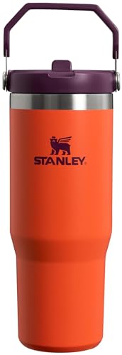 Stanley IceFlow Flip Straw Tumbler with Handle Review