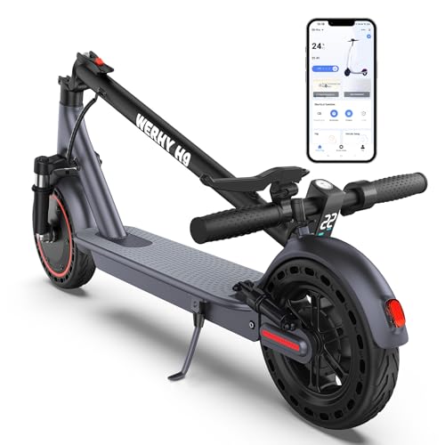 WERHY Electric Scooter Review