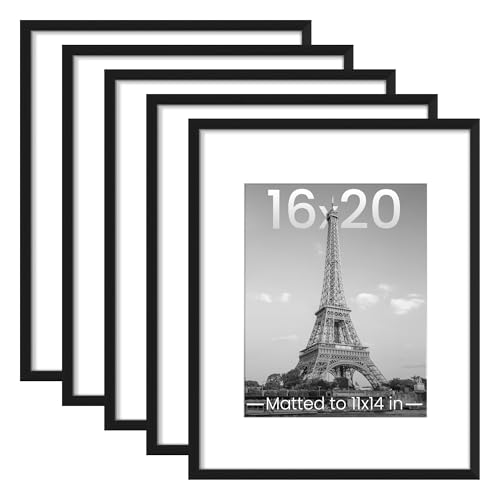 Affordable 16x20 Picture Frame Set of 5 for Home Decor