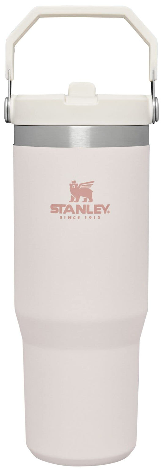 STANLEY IceFlow Stainless Steel Tumbler with Straw, Vacuum Insulated Water Bottle for Home, Office or Car, Reusable Cup with