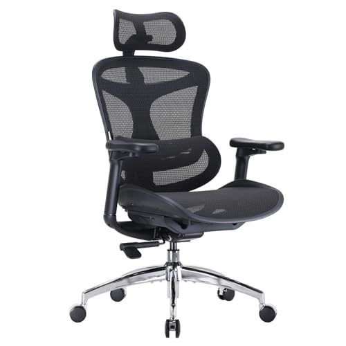 SIHOO Ergonomic Chair with Dynamic Lumbar Support Review