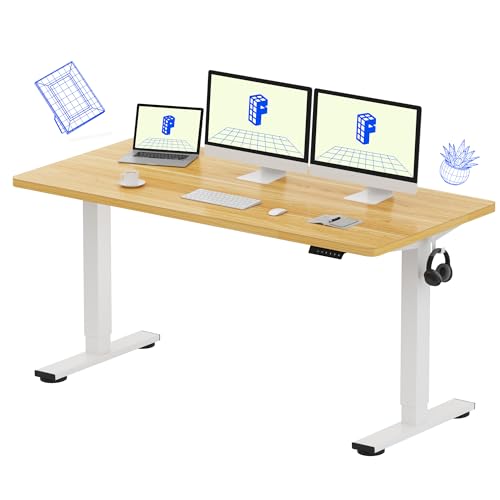 FLEXISPOT EN1 One-Piece Standing Desk Review