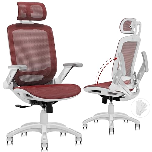 GABRYLLY Ergonomic Office Chair Review
