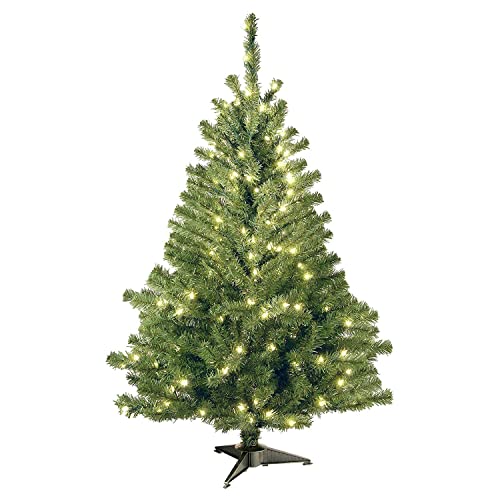 4 Foot Kincaid Spruce Tree with 100 Clear Lights