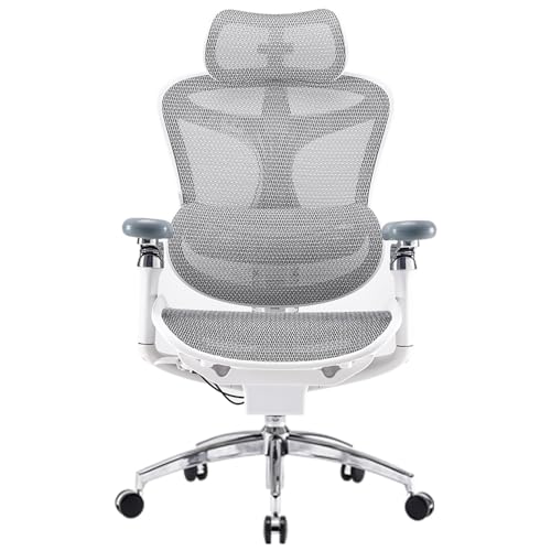 Best Ergonomic Office Chair with Adjustable Lumbar Support