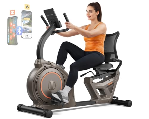 Sturdy Home Recumbent Bike for Adult Riders up to 400lbs.