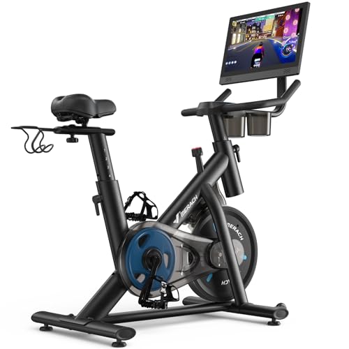 Quiet Home Exercise Bikes with High Weight Capacity