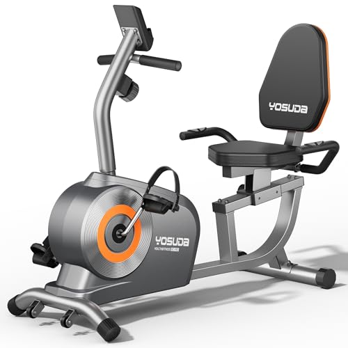 YOSUDA Recumbent Exercise Bike for Home Use