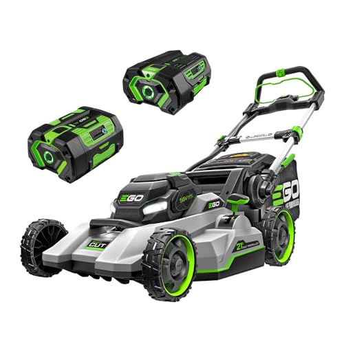 Best Cordless Lawnmower with Dual Batteries