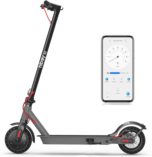 Long-Distance Folding Electric Scooters with 350W Motor