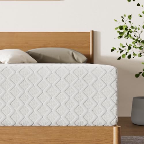 Signature Design by Ashley Chime Queen Memory Foam Mattress