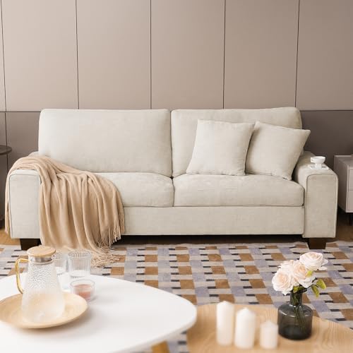 DOPEDIO Chenille Loveseat: Removable Cover Hidden Secret Buyers Love