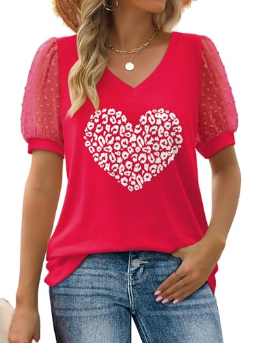 Women's Stylish Loose V-Neck Swiss Dot Tee Shirts Tops.