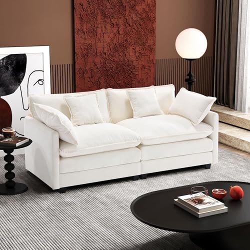 Modern Sectional Cloud Sofa Loveseat