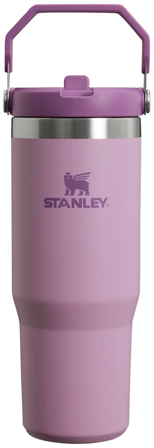 STANLEY IceFlow Stainless Steel Tumbler with Straw, Vacuum Insulated Water Bottle for Home, Office...