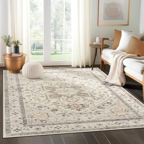 Low Pile Machine Washable Area Rug for Living Room Apartments Home.