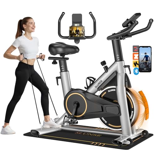 Magnetic Resistance Exercise Bike