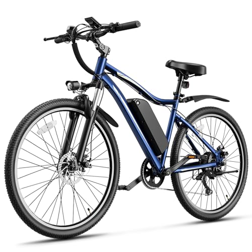 Heybike Electric Mountain Bike with 750W Motor