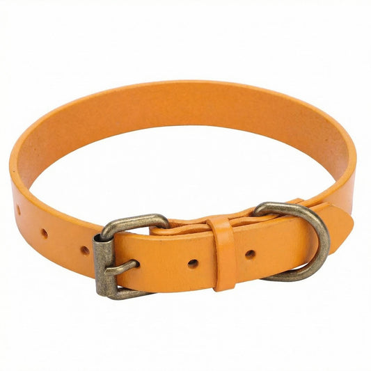 Extra Small Dog Collar for Small Dogs Orange 1pc 0.5 in Wide Adjustable Strap with Metal Buckle an...