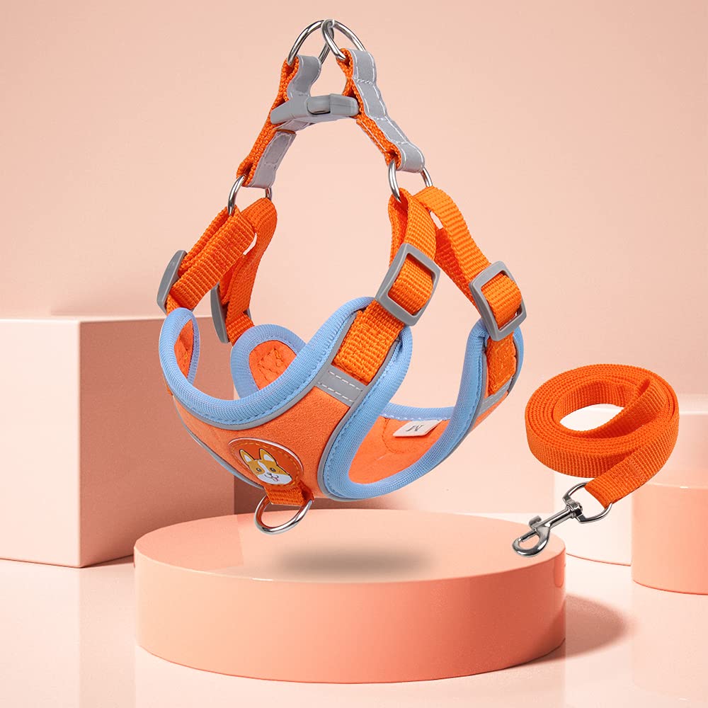 No Pull Pet Harness for Small Dogs & Cats
