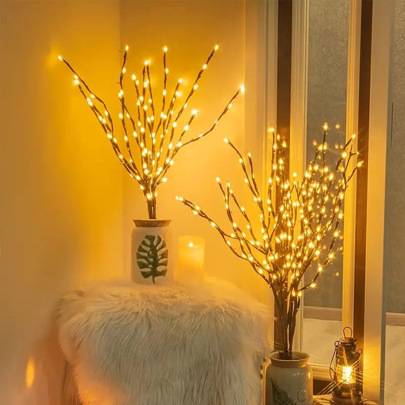 Fairy Lights for Indoor Decorations