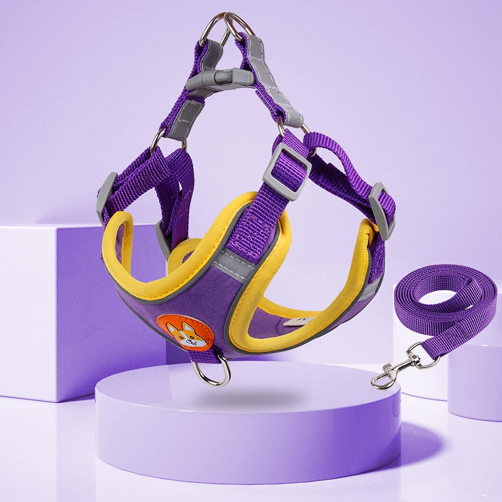 No Pull Pet Harness for Small Dogs