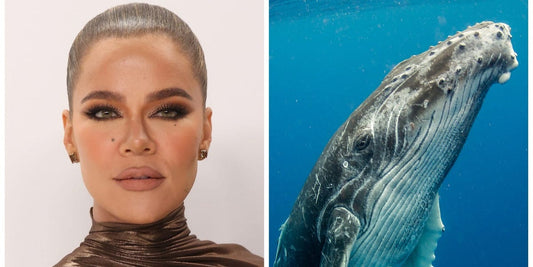 Khloe Kardashian Suspects True, Tatum Taunting Her With Whale Drawings