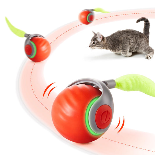 Amazing Interactive Rechargeable Cat Toy with Feather Tail for Indoor Exercise