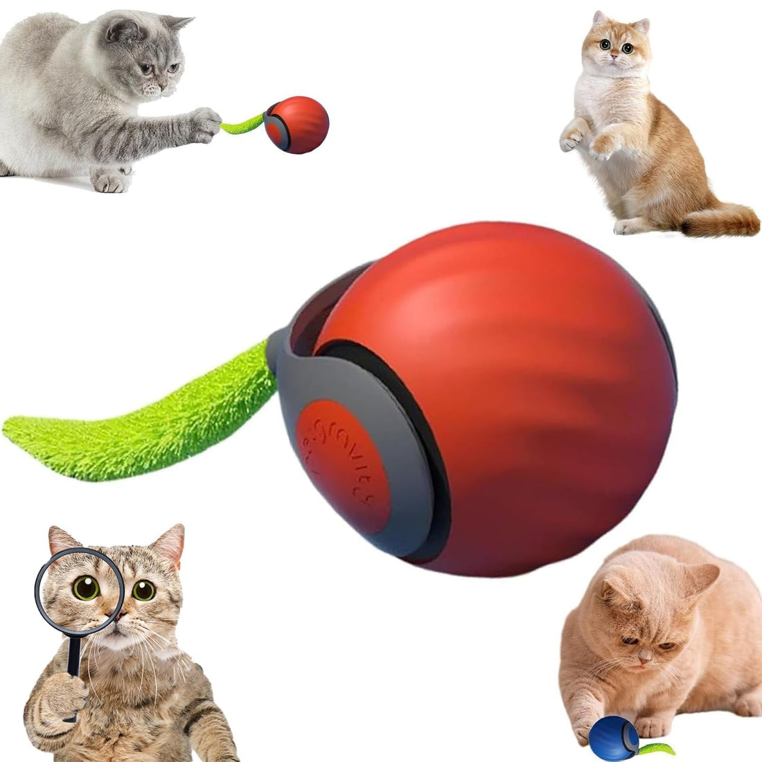 Get Your 2025 Feline Cutting Edge Cat Toy NOW Limited