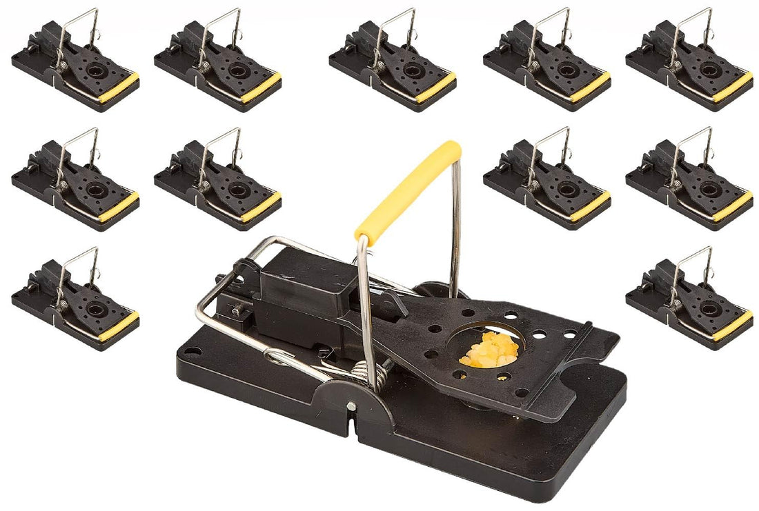 Bullseye 12 Pack Mouse Traps