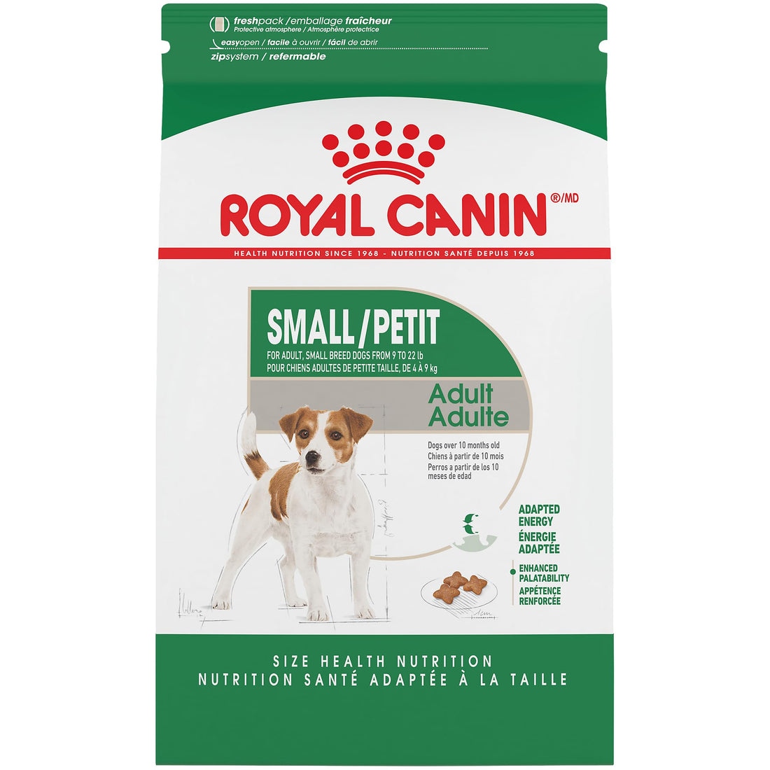 Best Dry Food for Small Breed Adult Dogs