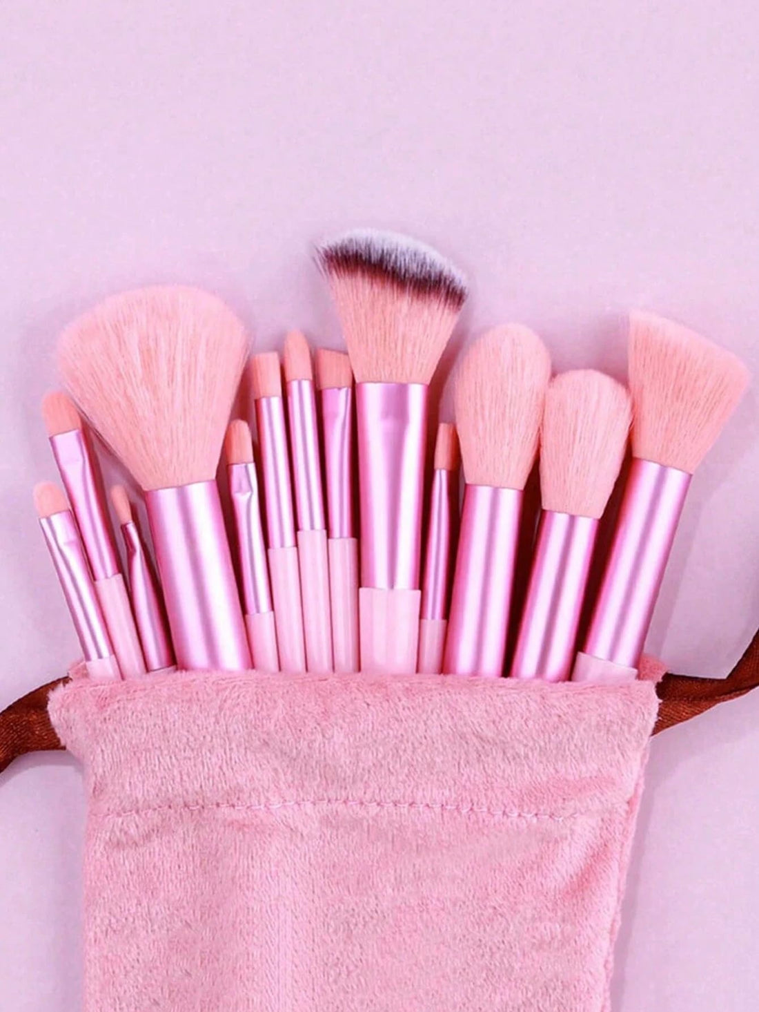 13Pcs Professional Makeup Brush Set with Bag