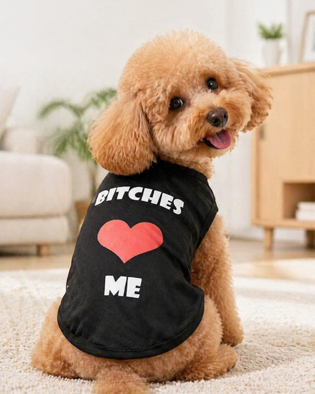 Keep Your Big Dog Cool: Soft Letter Print Vests That Actually Fit