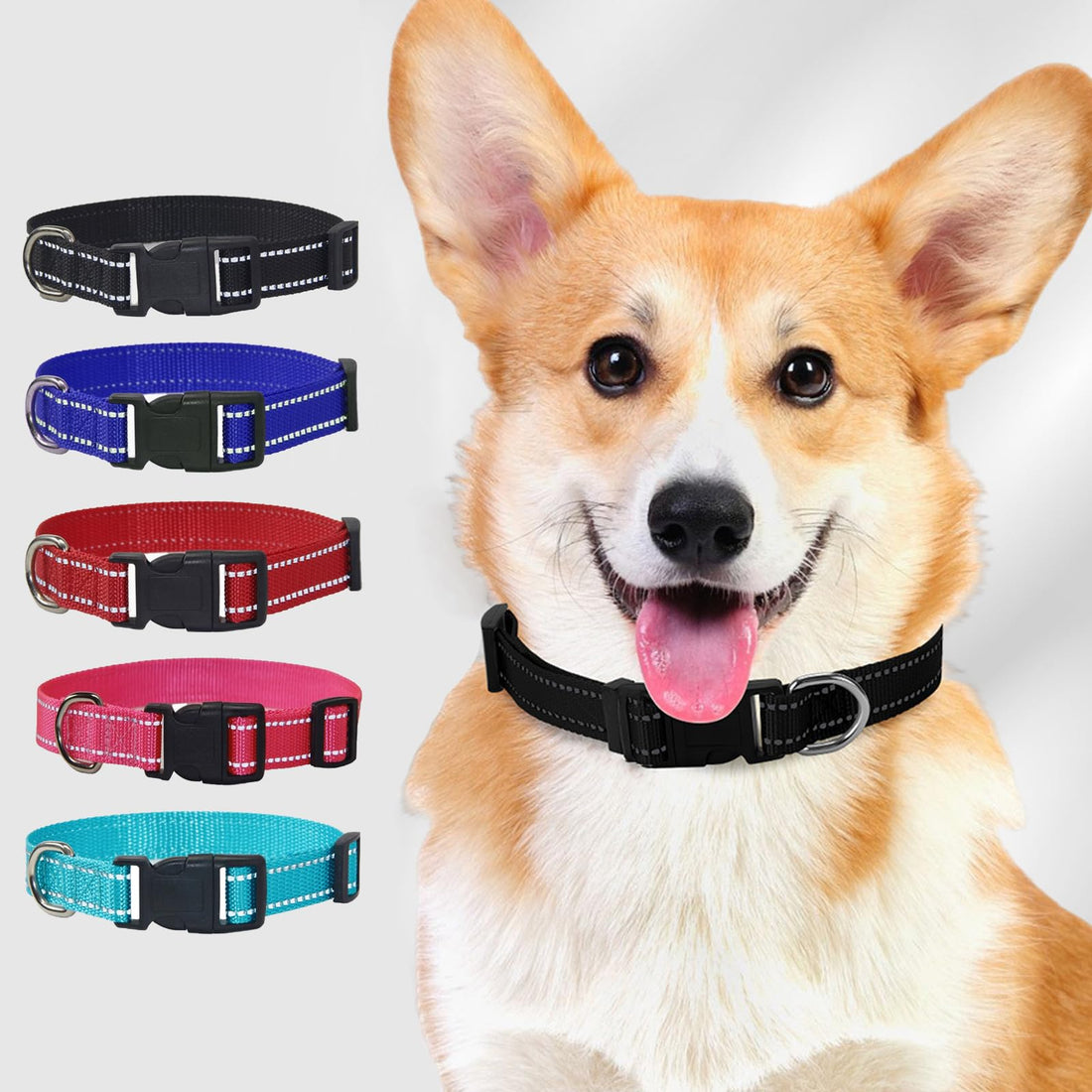 Best Blue Adjustable nylon dog collars for small dogs