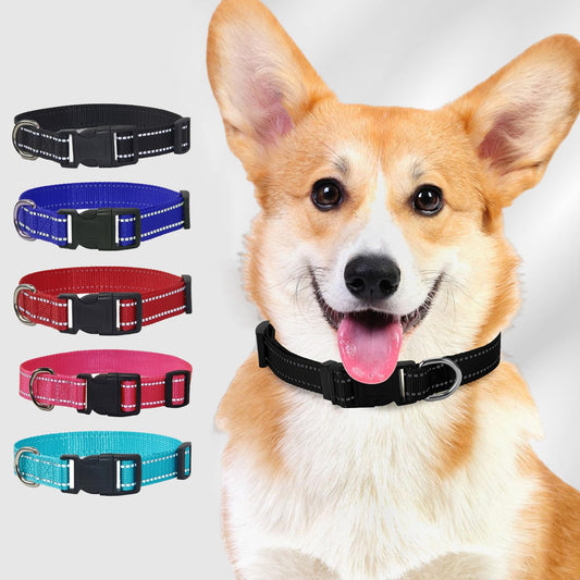 Best Blue Adjustable nylon dog collars for small dogs
