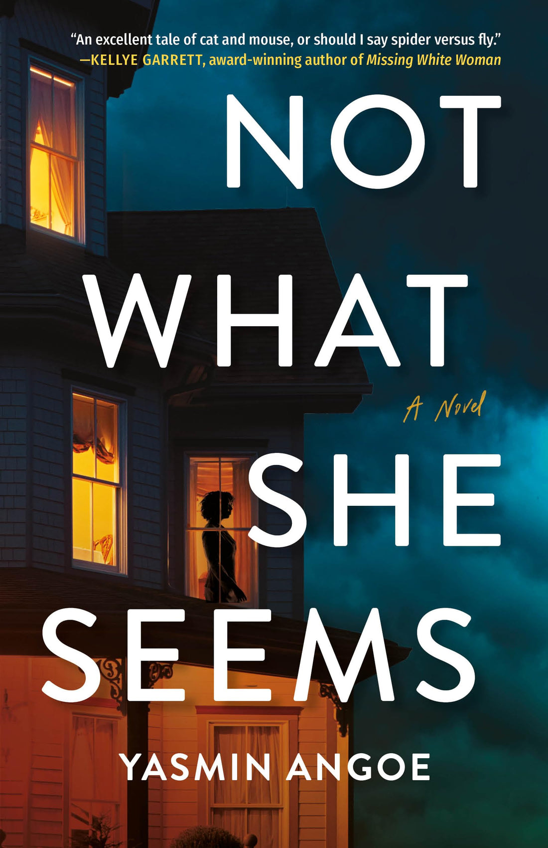 Not What She Seems: A Novel.