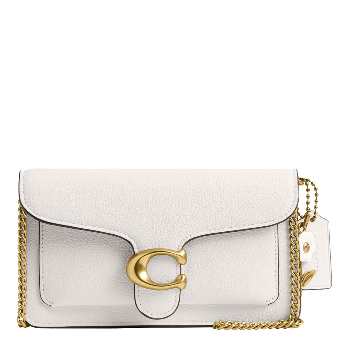 The Summer I Turned Pretty Tabby Chain Clutch in B4