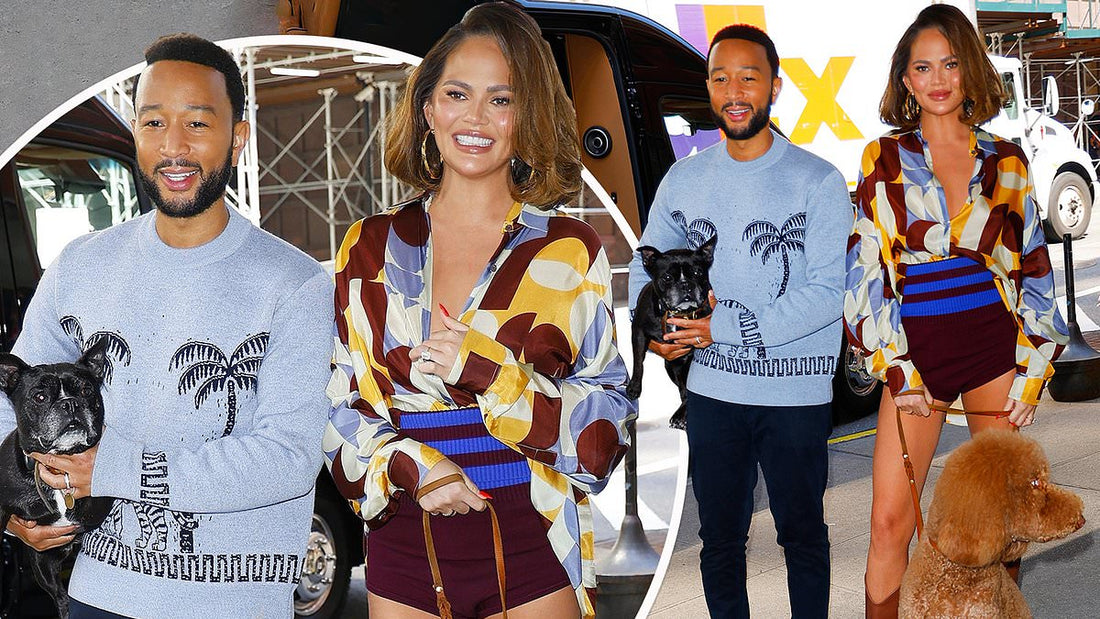 Chrissy Teigen And John Legend Put On A Stylish Display As Step Out In NYC With Their Pooches