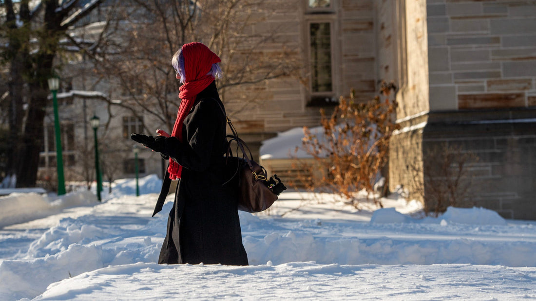 A George Orwell-Inspired Look At Bloomington's Battle With The Blizzard