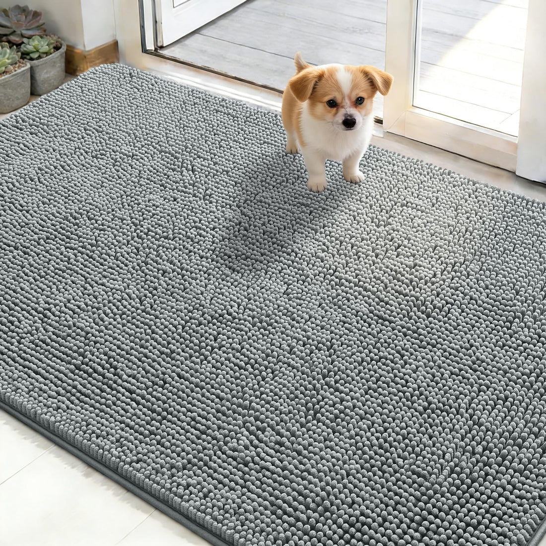 Best Dog Doormat for Muddy Paws