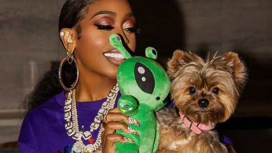 A Paws And Effect Relationship: Missy Elliott's Unexpected Canine Collusion