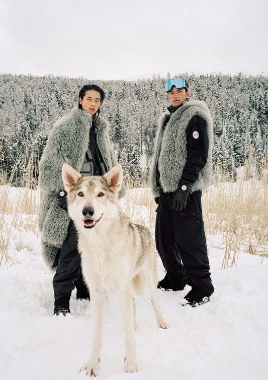 W 2025 → 26: Where Performance Meets Luxury