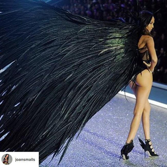 Model Wears Giant Black Feathered Wings At Victoria's Secret Show