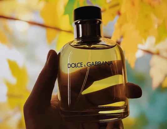 Best Dolce And Gabbana Colognes: Intense, Fresh, And Masculine Fragrances